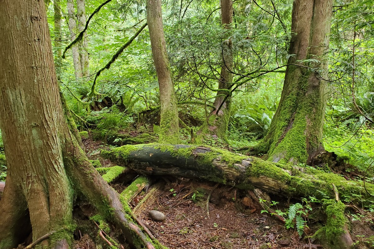 Campbell Valley Regional Park