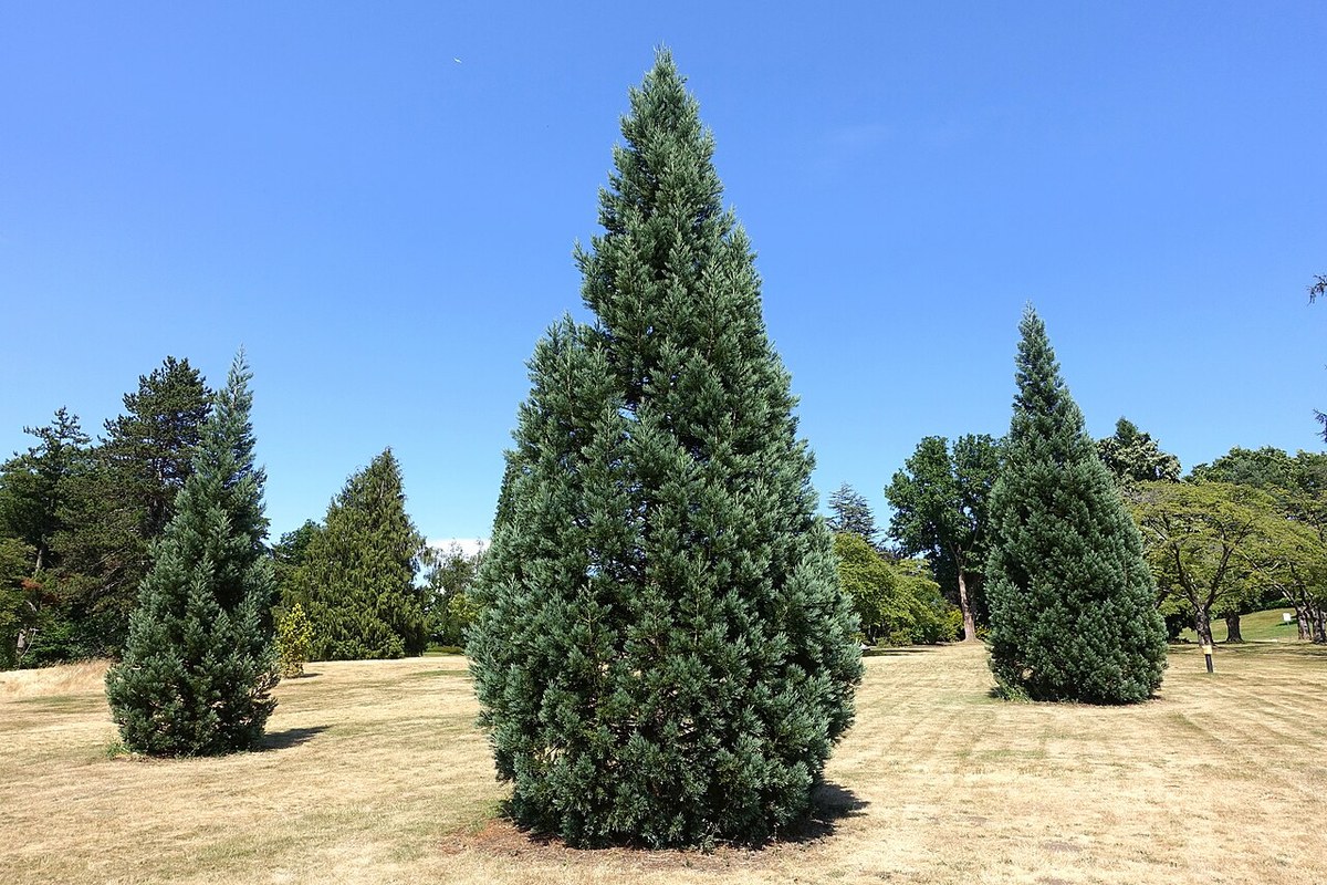 Queen Elizabeth Park